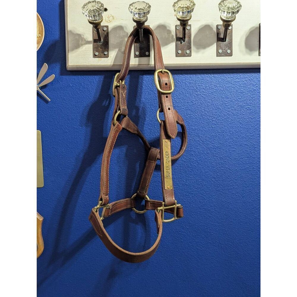 Leather Thoroughbred Race HorseāHalter - Picture 6 of 9